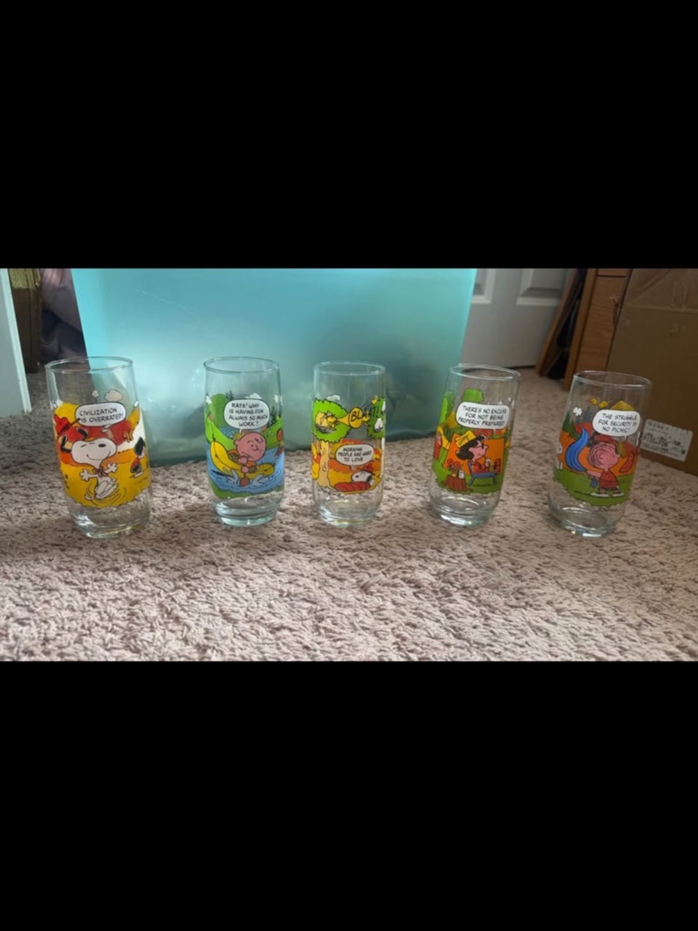 Vintage Peanuts Character Camping McDonald’s Drinking Glasses - Multicolor Set